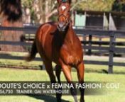 This video is about Redoute&#39;s Choice x Femina Fashion
