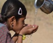 See how Traditional Medicinals is helping to empower women in sourcing communities in rural Rajasthan India. Learn more at: http://www.traditionalmedicinals.com/articles/senna-water-women-how-the-revive-project-is-changing-lives/