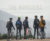 The Roosters want to introduce themselves with this video that shows the values they have as a team. That values give them the chance to travel long distances on fixed gear bikes always with their full messenger bags and no assistance. More than friends, a family.nThe Roosters were founded one year ago. After their first trip from Madrid to Bordeaux in 4 days, they decided to keep with this project based in friendship, respect and cycling. nIf you want to know more about them you can follow them