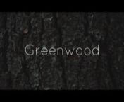 In the woods of upstate New York, an Oak tree is turned into a traditional post and rung stool.nnWith Tom Bonamici and Derek LashernnDirected, Photographed, and Edited by Adam Newport-BerranLocation Sound: JR SkolanCamera Assistant: Ezra EwennSound Design and Music: Mark Henry PhillipsnColorist: Mikey RossiternProduced by Ghost RobotnnMade in Partnership with Beaver Brooknnwww.ghostrobot.comnwww.beaverbrook.comnwww.adamnewportberra.com