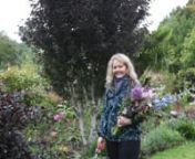 Sally Brown of Blue Skin Nurseries in Waitati gives a tour of her park-like garden and shares tips for creating a year-long flower garden.