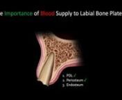 This video by Dr. Costa Nikolopoulos (Oral Surgeon) and Dr. Petros Yuvanoglu (Prosthodontist) illustrates why blood supply to the labial plate is so important and demonstrates how the new INVERTA™ Implant with its innovative Body-Shift™ Design can achieve primary stability and increased gap distance for optimizing predictable anterior aesthetics.nnSouthern Implants is a leading provider of unique and innovative dental implant products with a focus on top-end professional users who want more