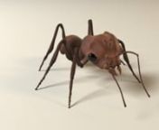 Character design, Sculpt on ZBrush, Retopo on Maya, Textures on Substance painter and Render on RedshiftnThe Ant for our first cgi short film with Jerome Ginesta &#&#