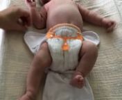 Cloth Diaper How-To:How to put a prefold diaper on a newborn baby