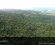 4k Drone aerial footage view flying over green and lush forest and dense jungle trees - wild coast transkei eastern cape.nnThis stock video is available for licensing from major stock video agencies. For best rates, purchase and download a full resolution version without a watermark directly from Africa Rising here: https://www.africarising.tv/downloads/african-stock-video-drone-footage-tree-forest-wild-coast-transkei-south-africa-2/