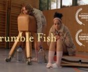 CRUMBLE FISHnnTwo Girls, a delicious crumble pie and a dangerous fish.nnwith Shari Asha Crosson and Zoé Friedrichnnwritten and directed by PHILIPP LINKnCinematography by TOBIAS BLICKLEnOriginal Music by SEBASTIAN SCHWITTAYnProducer PHILIPP LINKnAssociate Producer LINDA KOKKORESnnnProduced by GUTE ZEIT FILMnwww.gutezeit-film.comnn© 2018 GUTE ZEIT FILM / GZF No.2