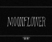 Yeah Baby — Moonflower (Lyric Video) from www korean songs com
