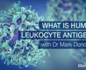 Human leukocyte antigens (HLAs) can be found on the surface of most cells of the body. They are a method of categorising one&#39;s &#39;tissue type&#39; and they play a role in determining a person&#39;s immune response to foreign substances. Most notably, they are used to establish donor matching for organ transplants.nnToday, Dr Mark Donohoe takes us through some of the emerging ways HLAs can reveal a person&#39;s predisposition to certain adverse health outcomes, such as mould toxicity, thyroiditis, type 1 diabe