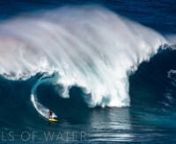 2015-2016&#39;s El Niño year brought some of the biggest waves in the world to the Northern Hemisphere. The best big wave surfers flew out to Maui, Hawaii to surf