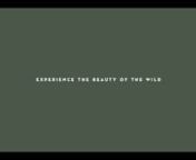 MESON NADI - Experience the Beauty of the Wild from nadi