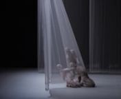 Petruska (trailer) - Virgilio Sieni from beani