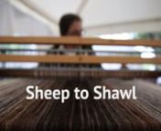 This is the story of the 2017 Sheep to Shawl Competition during the Maryland Sheep &amp; Wool Festival.Filmed on location in Friendship, Maryland by Nosrat Tarighi, Jessica Lockoski, Maria Luz Bravo and Pam Kaplan.