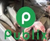 A fill by Madison StewartnnThis film features the results of mercury tests conducted on shark meat samples I purchased in 2017 from ‘Publix’ in Florida, USA. I chose to send the samples to be tested for toxins, by a lab that has been offering low-level mercury and methyl mercury analytical services for over three decades, is fully accredited, and tests in conformance with EPA-approved methods, making their results solid.nnThe entire investigation is a replication of tests I have conducted on