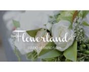 SOMOS FLOWERLAND from flowerland