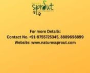 Final video For satpura video sharemore Details Com.mp4 from bengal tiger national park