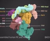 Richter, W.F., Nayak, S., Iwasa, J., Taatjes, DJ. The Mediator complex as a master regulator of transcription by RNA polymerase II. Nat Rev Mol Cell Biol (2022). https://doi.org/10.1038/s41580-022-00498-3