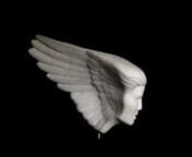 WingFace Is carved from Carrara marble, it weighs 15 lbs. and measures length 15 in. X height 9 in. X depth 4 in. It is mounted with a stainless steel post on a polished Black Granite block that weighs 35 lbs. and is 8 X 9 X 6 in. The face is full face frontal on the wing side and 40 % bas relief on the natural fractured side. The marble is very unusual in that it comes from very deep layers of the quarry which is why the uncarved side has a very distinctivefractured surface. It is so dense th