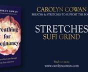 In this video we practice a magnificent movement practice: Sufi Grind. nnIllustrated and described in more detail in the book, you can get a copy of it here: nnhttps://amzn.eu/d/9fPpfw1 nnPlease note that by taking part in this series, you agree to my terms and conditions and have noted the medical disclaimer, which is copied below.nnI very much hope that you find the book, and these videos, a source of comfort and support during your pregnancy and postnatal period. nnIf you have questions or