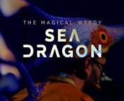 The Magical Weedy Seadragon is a magical transformative adventure from ocean to shore, following a young child who has forgotten how to be kind. On finding a Magical Weedy Seadragon washed up on shore, the child must choose between helping the Seadragon back into the water or to keep the Seadragon for themselves. On deciding to take the sea creature home, the Magical Weedy Seadragon casts a spell over the child. In an explosion of magic the child is transformed into a little fish. And so, the ch