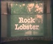 “Rock Lobster” is a new wave/disco melodrama set in 1978 that was produced, written and directed by Dan Dinello. The narrative plays out the violent conflict between a lethargic, gun-toting service station attendant and his disco-obsessed, grocery check-out girlfriend who falls hard for a rich Arab oil heir who lives in a Saturday Night Fever fantasy world. nThe movie stars Jim Desmond, the longtime Chicago rock and blues musician.Michael Goi shot the movie in Chicago with an all-Chicago c