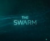 Earlier in 2023 I had the pleasure of contributing the animated title sequence to the eco thriller series THE SWARM by Game Of Thrones Showrunner Frank Doelger and Intaglio Films, based on the bestselling novel by Frank Schätzing. With the backgrounds filmed by Roman Hill I animated all the titles and the predesigned THE SWARM logo for the intro sequence adapted for each of the 8 episodes.nI had a wonderful time working with the great minds over at Intaglio Films!nnn#theswarm #derschwarm #adapt