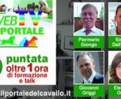 WebTV del Portale: 13° puntata from webtv