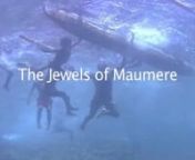 This video contains footage from Maumere Bay on Flores, in Indonesia. Maumere is definitely one of the most underrated hotspots of biodiversity in Indonesia. During one of my dives im Maumere Bay I also discovered the very rare Gurnard Lionfish (Bluefin Lionfish) which has only been seen in Bali and further north in Japan before.nFilmed with Panasonic MX 7 in Sealux housing.nThe film contains the song Fountains of Live from Artemis produced by Magnatune.
