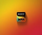 We have been working with Sony for a long time and we are privileged to be a part of the global branding. Sony wanted to make a global branding change with the main theme being light and energy for all channels. We have rebranded SonyMovie Cluster Channel. Which includes Sony Max, Sony Max 2 and Sony WAH. Designing over 80 show logos and over 500 air elements and executing them in 90 days was a challenging task in itself. nnI am extremely glad that I got the opportunity as a creative director t