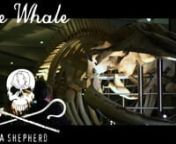 The Whale from nick 2010 shows