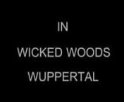 one day in wicked woods wuppertalnnmetnjoey njorisnbrendannwijnandnjionmerlijnnrobinnn27-12-10nnwickedwoods wuppertal