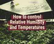 Achieve monster yields by mastering the science of relative humidity and temperature! When growing cannabis indoors, both relative humidity and temperature must be specifically adjusted for every stage of the plant’s life cycle, from seed to crop. In this video, understand how to increase/decrease relative humidity and temperature in your grow room by applying a few smart tricks to get the most out of your plants.nnWhether you are a beginner grower, green-thumbed veteran, or cannabis connoisse