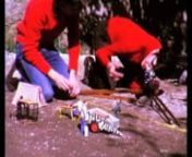 Documental mostrando imágenes del rodaje del corto de animación SAFARI, rodadas en el año 1973 con una cámara Kodak Instamatic M14 Super 8mm.nn