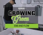 An ebb and flow system, also known as a flood and drain system, is popular among home and commercial growers due to its ease-of-use, scalability, and efficacy. If you want to get started growing weed with a hydroponic ebb and flow system, we have got you covered.nnWhat Are Hydroponic Soilless Systems?nHydroponic systems do not use soil as a grow medium. Instead, the plant’s roots are supported by an inert medium such as hydroton clay pellets, Rockwool, and coco coir. The soilless root structur
