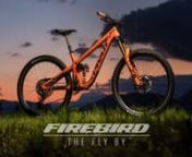 Here is the fly by of the Pivot Firebird – the fastest Enduro bike for our team riders, the fastest park bike, the fastest way to rail a top-to-bottom mega-descent – no matter whether that descent is in Moab or Morzine. nnLearn more about the Firebird here: nhttps://store.pivotcycles.com/en/bike-firebird-1nnVisit our website to view all our bikes:nhttps://www.pivotcycles.com/en/