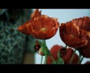 INHALTSANGABEnnDer Kurzfilm ACHT BLUMEN spielt in einem Vorort von Zürich im Jahre 2015. Benjamin Lewis hat seinen gesamten Freundeskreis auf der Internet-plattform