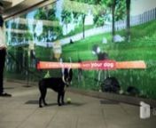 This was an interactive outdoor advertising campaign done by Inwindow Outdoor for Purina Beneful brand Dog Food. It took place in the Columbus Circle subway station in New York City as well as high-traffic locations in LA, Atlanta, Chicago and St. Louis. Users could play fetch with their virtual dog, customize its look and have a picture taken with it as well. For more information visit nnwww.flipevil.com/nwww.inwindowoutdoor.com/