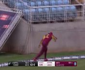 Shimron Hetmyer took one of the catches of the year for the West Indies in their T20 international against New Zealand at Sabina Park