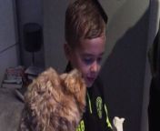 In this heartwarming video, a dog patiently waits for her turn as the owners are busy brushing the kids&#39; hair. The adorable moment unfolds as they start brushing the dog&#39;s fur, and her delight is evident. The video beautifully captures the bond between pets and their owners, showcasing the joy and care shared in simple daily routines. It&#39;s a testament to the special connection that exists between animals and the families that love them. This is the kind of video that makes the viewers go aww with heartsome feels.&#60;br/&#62;Location: England &#60;br/&#62;WooGlobe Ref : WGA129635&#60;br/&#62;For licensing and to use this video, please email licensing@wooglobe.com
