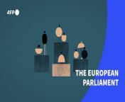 EU elections will be held from June 6 to 9. This videographic explains how the European Parliament works. VIDEOGRAPHIC