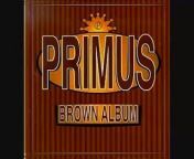 Brown Album &#60;br/&#62;