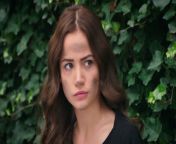 WILL BARAN AND DILAN, WHO SEPARATED WAYS, RECONTINUE?&#60;br/&#62;&#60;br/&#62; Dilan and Baran&#39;s forced marriage due to blood feud turned into a true love over time.&#60;br/&#62;&#60;br/&#62; On that dark day, when they crowned their marriage on paper with a real wedding, the brutal attack on the mansion separates Baran and Dilan from each other again. Dilan has been missing for three months. Going crazy with anger, Baran rouses the entire tribe to find his wife. Baran Agha sends his men everywhere and vows to find whoever took the woman he loves and make them pay the price. But this time, he faces a very powerful and unexpected enemy. A greater test than they have ever experienced awaits Dilan and Baran in this great war they will fight to reunite. What secrets will Sabiha Emiroğlu, who kidnapped Dilan, enter into the lives of the duo and how will these secrets affect Dilan and Baran? Will the bad guys or Dilan and Baran&#39;s love win?&#60;br/&#62;&#60;br/&#62;Production: Unik Film / Rains Pictures&#60;br/&#62;Director: Ömer Baykul, Halil İbrahim Ünal&#60;br/&#62;&#60;br/&#62;Cast:&#60;br/&#62;&#60;br/&#62;Barış Baktaş - Baran Karabey&#60;br/&#62;Yağmur Yüksel - Dilan Karabey&#60;br/&#62;Nalan Örgüt - Azade Karabey&#60;br/&#62;Erol Yavan - Kudret Karabey&#60;br/&#62;Yılmaz Ulutaş - Hasan Karabey&#60;br/&#62;Göksel Kayahan - Cihan Karabey&#60;br/&#62;Gökhan Gürdeyiş - Fırat Karabey&#60;br/&#62;Nazan Bayazıt - Sabiha Emiroğlu&#60;br/&#62;Dilan Düzgüner - Havin Yıldırım&#60;br/&#62;Ekrem Aral Tuna - Cevdet Demir&#60;br/&#62;Dilek Güler - Cevriye Demir&#60;br/&#62;Ekrem Aral Tuna - Cevdet Demir&#60;br/&#62;Buse Bedir - Gül Soysal&#60;br/&#62;Nuray Şerefoğlu - Kader Soysal&#60;br/&#62;Oğuz Okul - Seyis Ahmet&#60;br/&#62;Alp İlkman - Cevahir&#60;br/&#62;Hacı Bayram Dalkılıç - Şair&#60;br/&#62;Mertcan Öztürk - Harun&#60;br/&#62;&#60;br/&#62;#vendetta #kançiçekleri #bloodflowers #urdudubbed #baran #dilan #DilanBaran #kanal7 #barışbaktaş #yagmuryuksel #kancicekleri #episode16