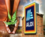 New stores, greener policies, and even more savings Hold onto your hats, bargain hunters — because big things are happening for Aldi in 2024.