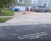 This person was pulling their car out to work when they noticed a raccoon rushing towards them. A mother raccoon was trying to rescue her babies hiding under the car&#39;s hood. However, she failed as the babies kept running back towards the car.