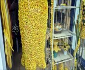 Marie Curie charity shop in Worthing town centre puts on a spectacular display for the annual Great Daffodil Appeal, supported this year by actor James Nesbitt