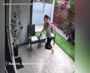 Screams and chaos erupt as a python latches on to a pet cat in a Sunshine Coast backyard.