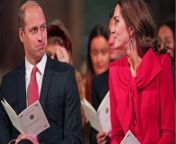 Prince William and Kate Middleton: The couple are under 'unmanageable pressure', according to expert from new honeymoon couple