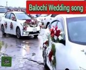 Best Brahvi or Balochi wedding song.... from balochi song muslim hammal
