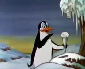 Silly Symphony Peculiar Penguins from ki episode symphony di java whatsapp download