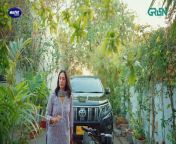 Let's Try Mohabbat EP 01 l Mawra Hussain l Danyal Zafar l Digitally Presented By Master Paints from tu mohabbat hai mobiplanet in