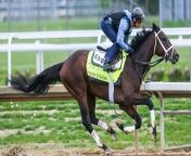 Kentucky Derby 150th Anniversary Boosts Churchill Downs from farm statistics by state